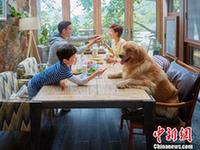 全区落实的草原所有权面积