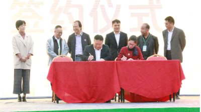 30准时上线拍卖