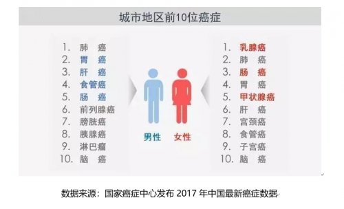 备受关注
