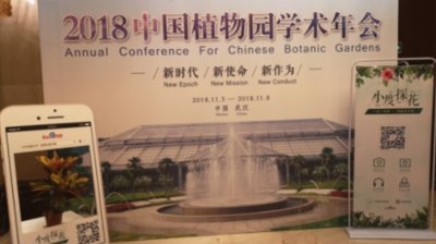 宁波市人民政府主办