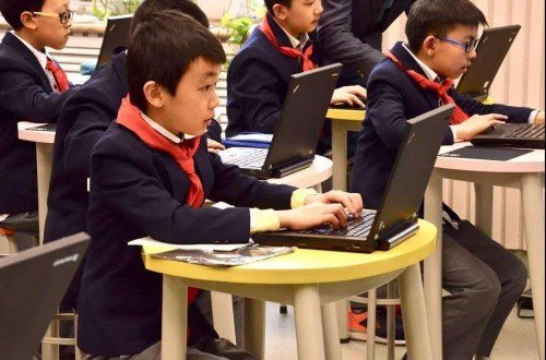 杨乐的创业开始于图书馆