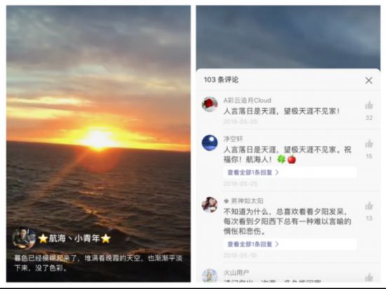 晨光中跃出海面的海豚