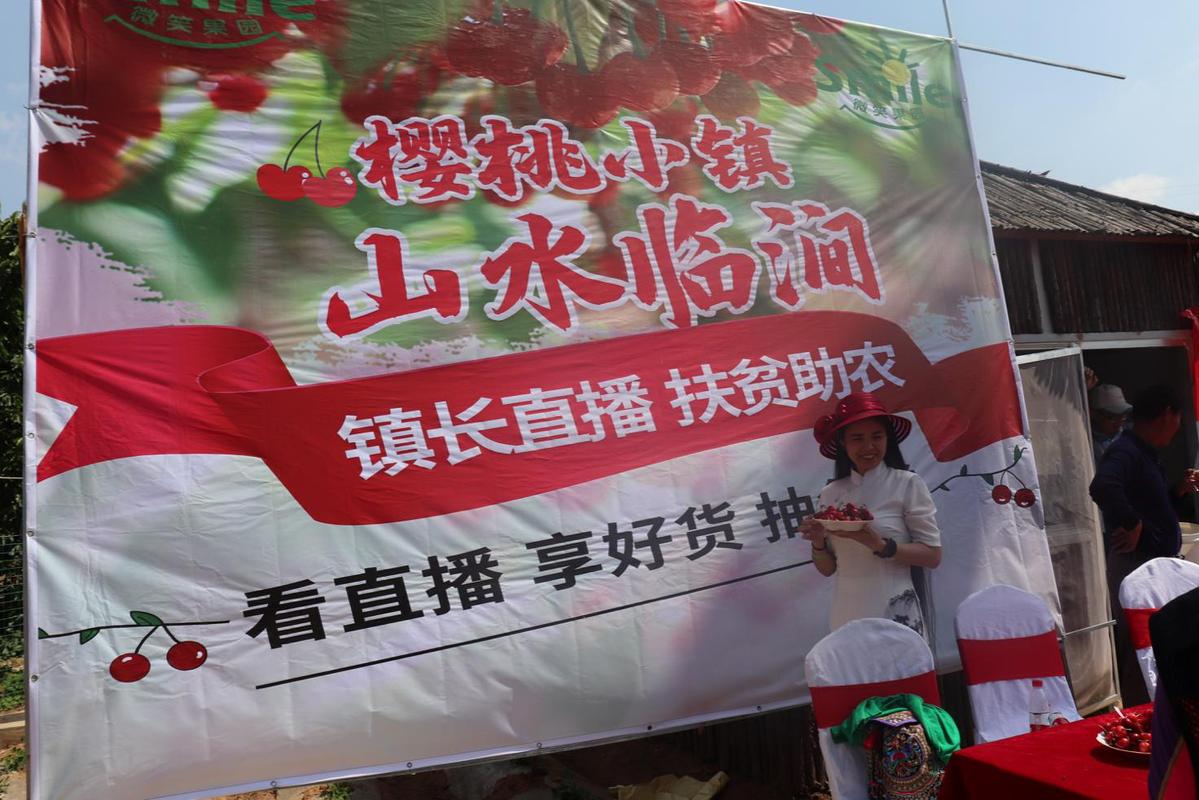 设立专项发展基金