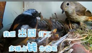 我不想你太辛苦”