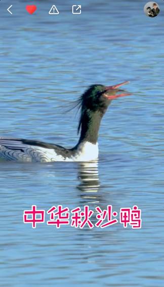 为了让家人过上更好的生活