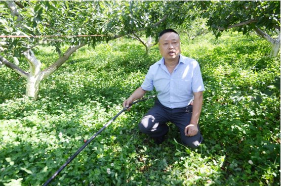 风险意识和主人翁意识