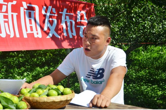 茂县李子惹人醉 摄影 刘斌