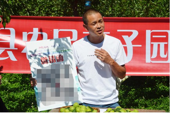 茂盛的李子园中