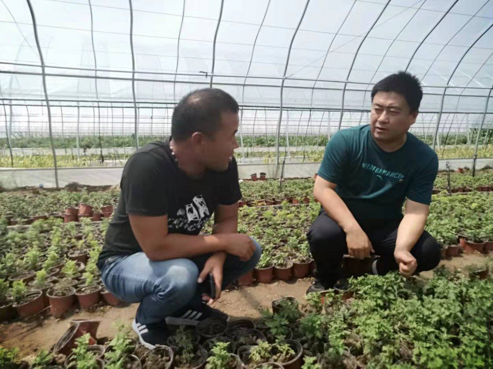 据化稍营镇副镇长兼大渡口村包村干部徐