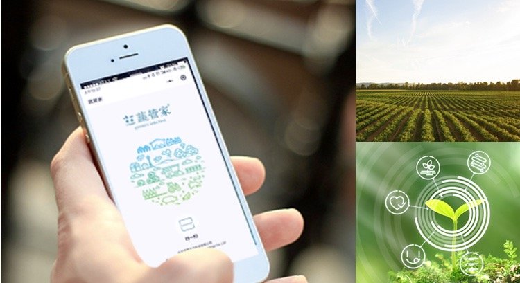 将智能硬件和种植相结合