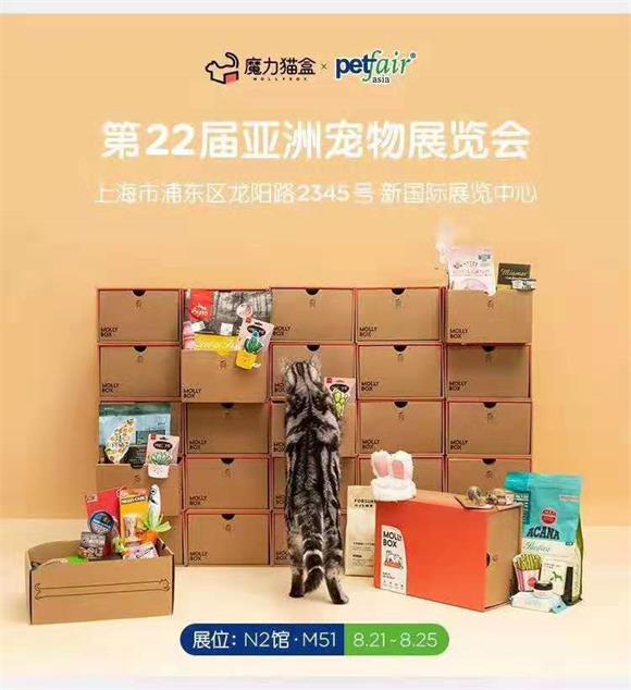 魔力猫盒作为一个创立仅仅两周年的品牌
