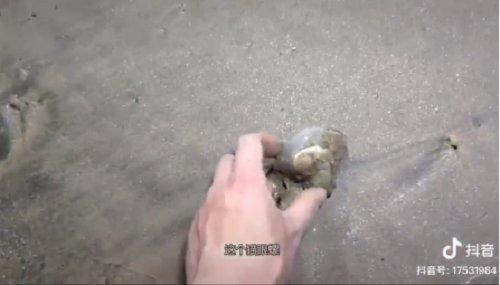 抖音小马带你去赶海,浪漫就是:说不定今天捉到啥 会书写童话的大男孩