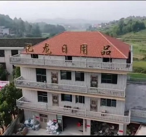 生命不息