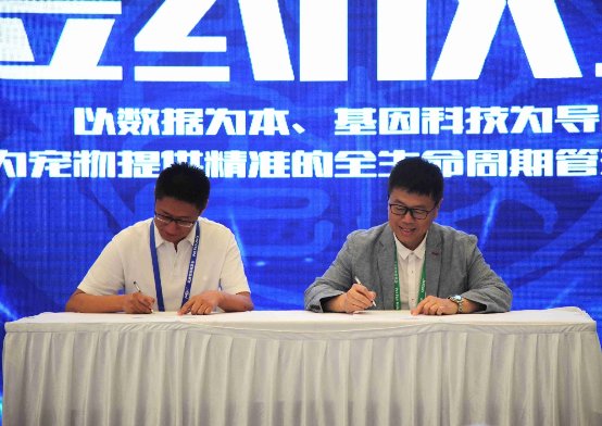 数据分析和整理