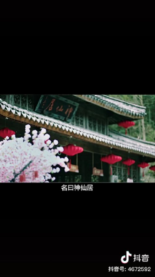 她发布的91个旅拍作品获得超4亿次点