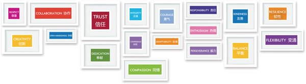 让孩子们不仅能快速掌握英语知识