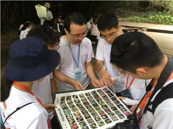 丹霞山先后荣获银河电子平台怎么用级风