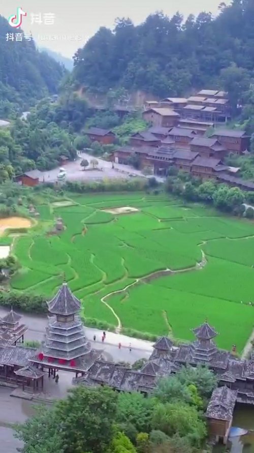 只见她三不五时晒一下正在成熟的核桃