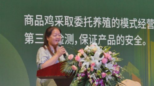 出生在湖南省雪峰山脉一个小城镇名为洪