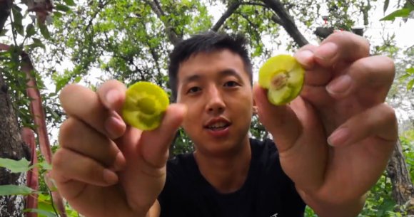 @老张谈三农 是来自汉中周边乡镇的一