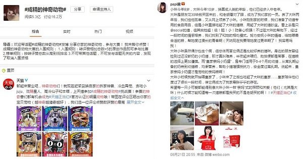 天猫正当红再次成功击穿品类界限
