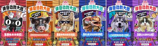 宠物吃喝玩乐