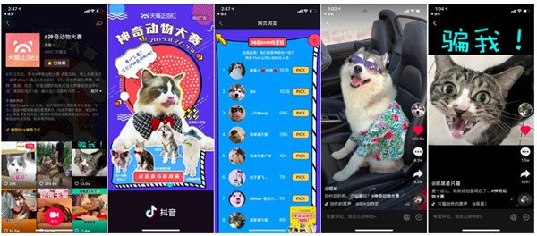 收割宠物经济热潮销售