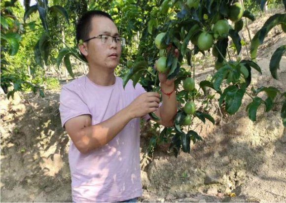 杨恩洲小时候的愿望