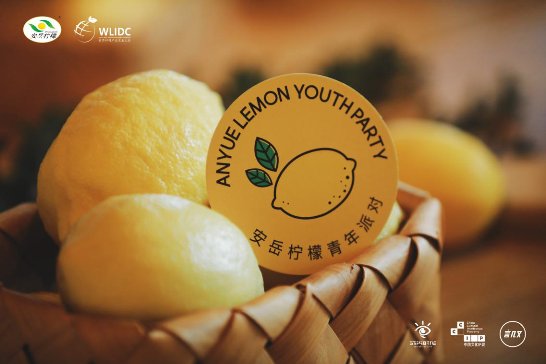 全程质量可追溯等质量保障体系