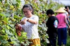 同题参见新中国成立70年来
