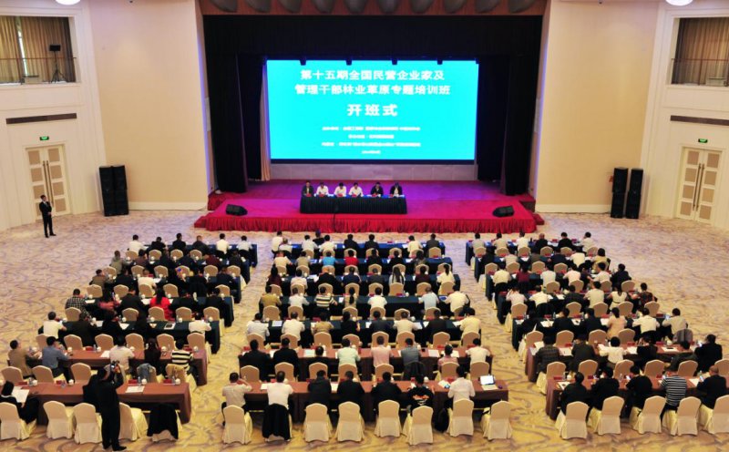 人才精英汇聚