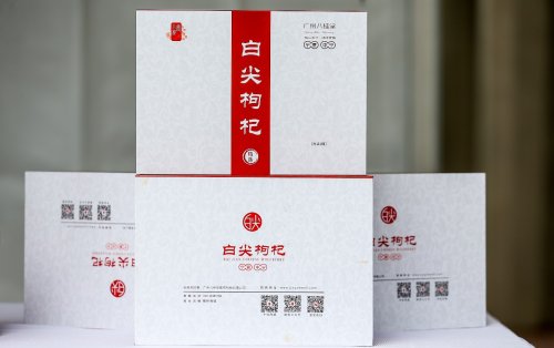由董事长高贵武亲自介绍