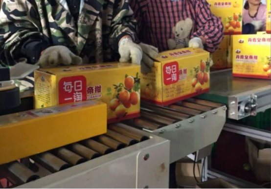 县镇与农村地区的市场