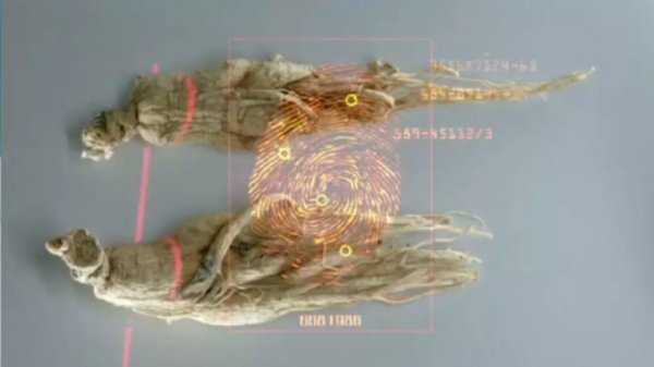 指纹图谱技术在国内中药行业当时也才刚