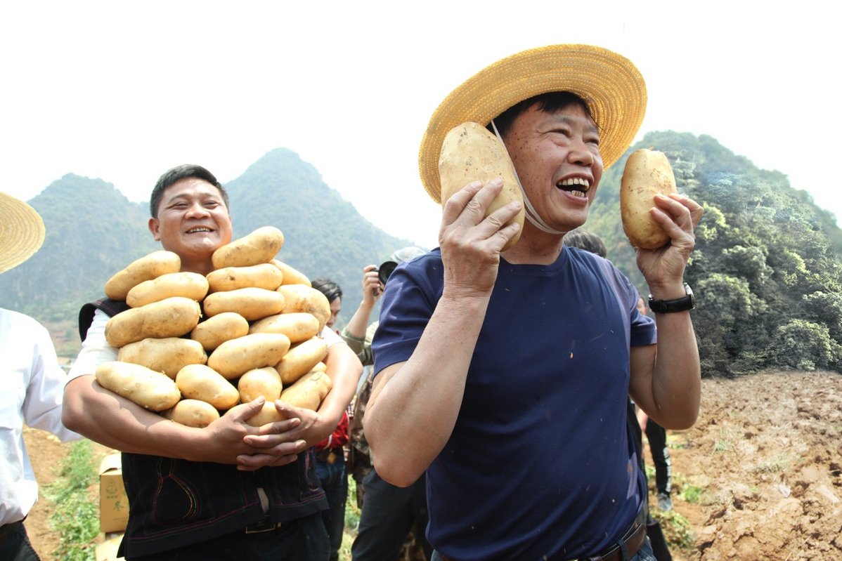 真正把丰收的劳动成果
