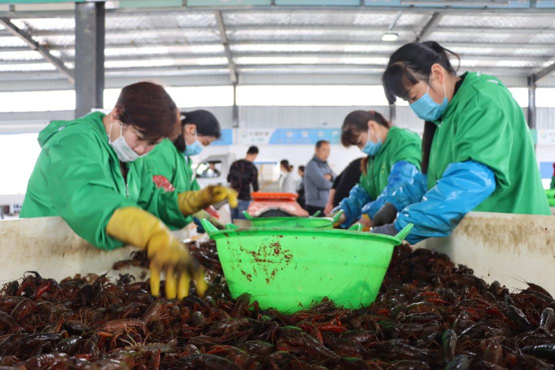 这场潢川县联合拼多多举办的“走进淮河