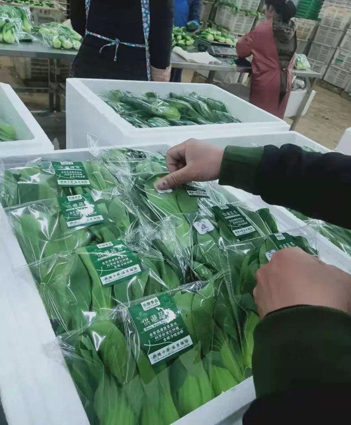 这些技术可以将蔬菜的生产