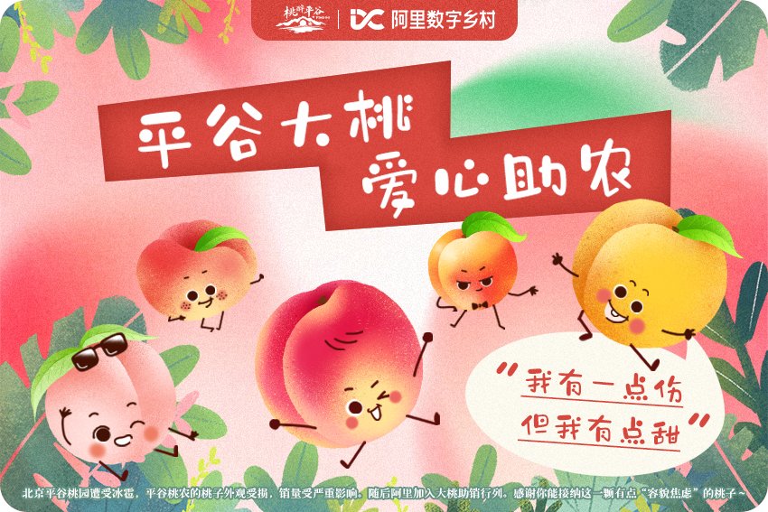 阿里巴巴驻平谷乡村特派员张楠表示