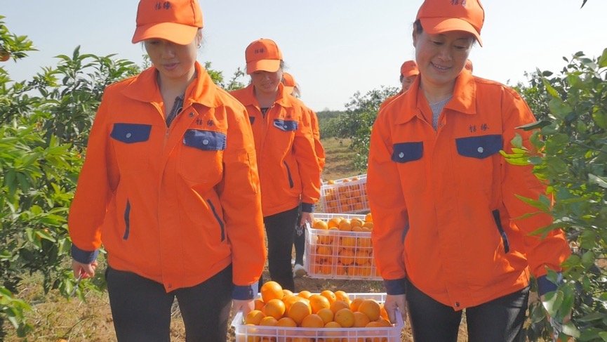 后期还将依托阿里巴巴市场洞察