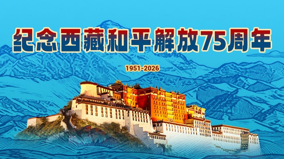 是以实际行动为构建网络化